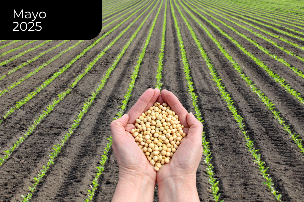 ¿Vuelven a subir los DEX en junio?  Posible impacto sobre la rentabilidad agrícola y las finanzas públicas