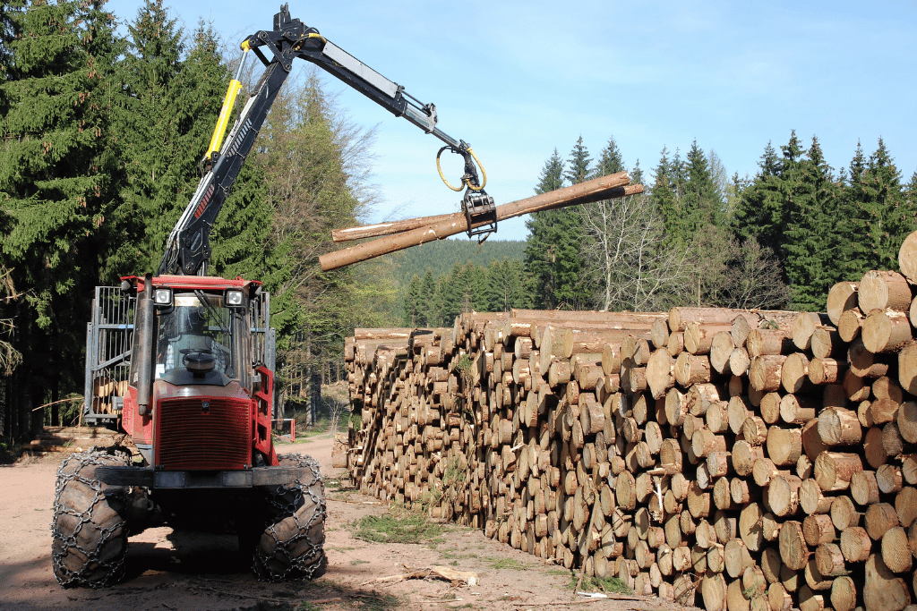 El NEA hacia una agenda de crecimiento: menos impulso público, más competencia real