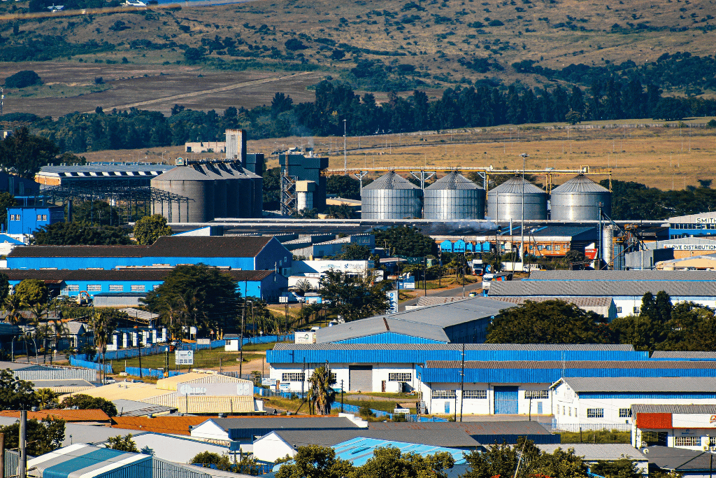 ¿Comienza una etapa de crecimiento?