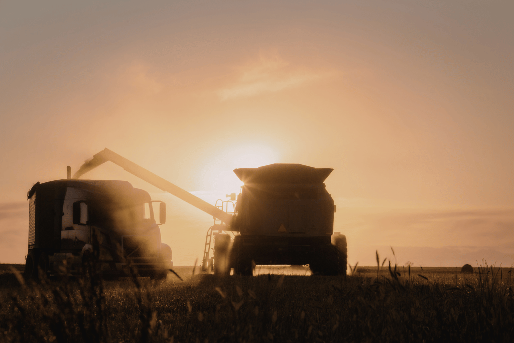 Rentabilidad agrícola 2018–2026: márgenes ajustados, volúmenes récord y una carga tributaria que no afloja